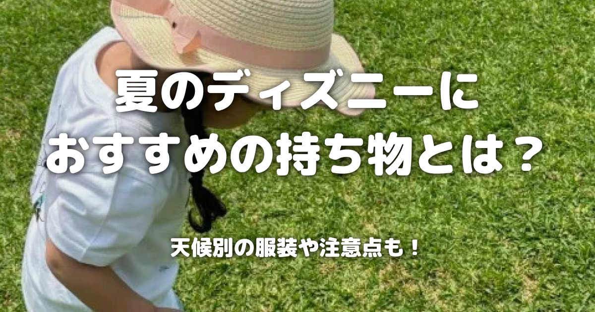 夏のディズニーにおすすめの持ち物とは？天候別の服装や注意点も！